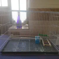 قفس پرنده مناسب