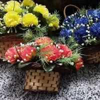 گل وگلهای زیبا