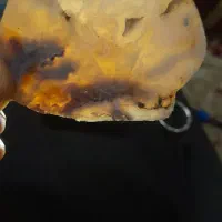 سنگ‌شجر‌غروب‌زیبا