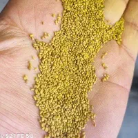 محصولات کشاورزی