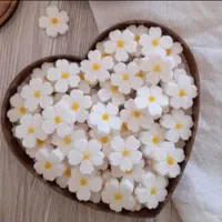 قند تزئینی بدون گلوکز نبات رنگی|خوردنی و آشامیدنی|قم, گلزار|دیوار