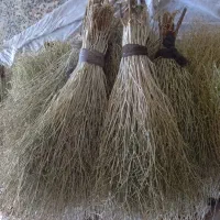 جارو دستی