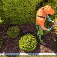 تیم متخصص امور باغبانی برای اولین بار در شهرستان