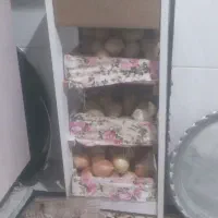 جا سیب وپیازی