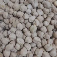 نخود درجه یک گریت