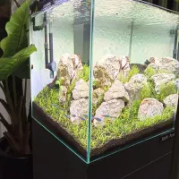 آکواریوم پلنت فروش فوری زیر قیمت|ماهی|قم, پردیسان|دیوار