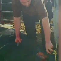 سلاخی و قصابی سیار|خدمات پذیرایی، مراسم|خرم‌آباد, |دیوار