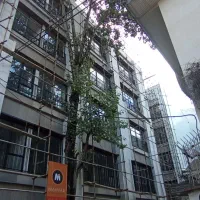 درب پنجره دوجداره.|خدمات پیشه و مهارت|رشت, گلسار|دیوار