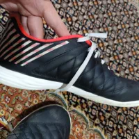 کفش فوتسال لونار گتو|کیف، کفش، کمربند|تبریز, |دیوار