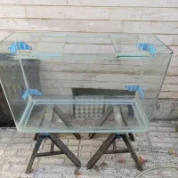 آکواریوم فروشی