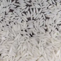 برنج طارم هاشمی