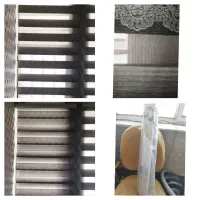 پرده زبرا طوسی