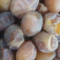 فروش رطب عسلی و نیمه عسلی  برحی آبادان