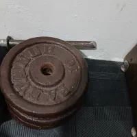 صفحه هالتر