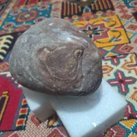 سنگ کهکشانی|جواهرات|بردسکن, |دیوار