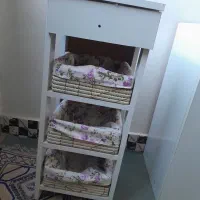 جا سیب زمینی پیاز