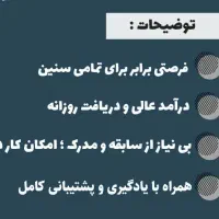 موقعیت شغلی غیر حضوری با درامد