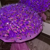 گل پروانه ای و روبانی