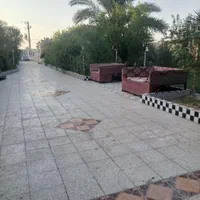 خرمشهر. محرزی نهر۱۰ باغ گل نرگس|اجارهٔ کوتاه‌مدت ویلا و باغ|خرمشهر, |دیوار