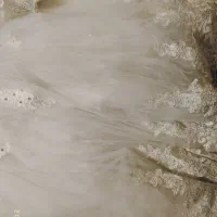 لباس عروس|لباس|مسجد سلیمان, |دیوار