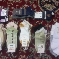 جواب به قیمت عمده به فروش می رسد