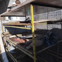 قفس پرورش و نگهداری بلدرچین و پرندگان