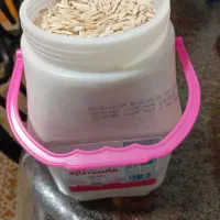 بذر یا دانه خیار محلی جهت کاشتن|گل و گیاه طبیعی|رشت, حمیدیان|دیوار