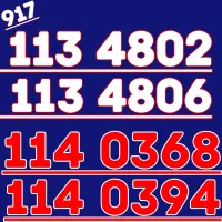 917.113.0594