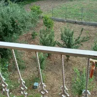 خانه ویلایی اجاره ای