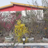 ویلای اجاره ای درابسرد دماوند