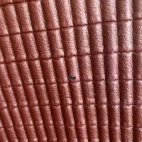کت زنانه  چرم ترک|لباس|تبریز, |دیوار