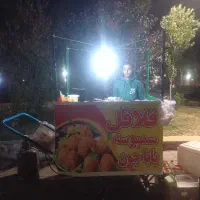 استخدام نیرو ساده برای فلافلی سیار