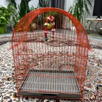 قفس پرندگان