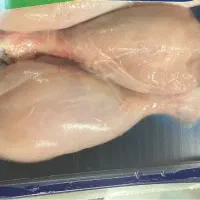 استخدام نیرو شرکت بسته بندی