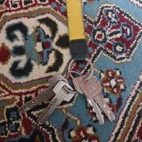 پیدا شده کلید