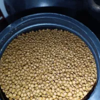 غذا ماهی قیمت ویژه