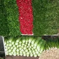 کارگر میوه و سبزی فروشی