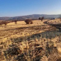 زمین کشاورزی