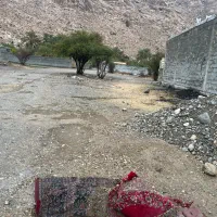 زمین بی بی دختران