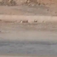 زمین 200متری پشت سایپا