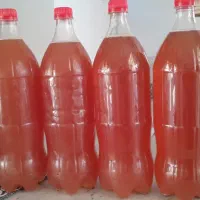 ۸عدد ابغوره درجه یک بدون لایه