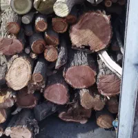 هیزم انواع چوب