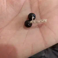 دوربین عکاسی مهره مشکی