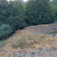 750مترزمین-دهکده-ییلاقی-روستای-کوشذر-منظره-دائمی