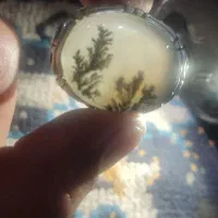 انگشتر نقره شجر