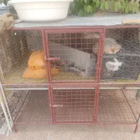 قفس دو طبقه محکم