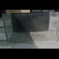 دوعدد آکواریوم