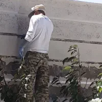 ابزار رومی|خدمات پیشه و مهارت|آستارا, |دیوار