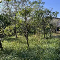 ۲۴۵۰ مترمربع بَرِ اتوبان اصلی ۲ کله تراکم ۱۰ طبقه|فروش زمین و ملک کلنگی|رامسر, |دیوار