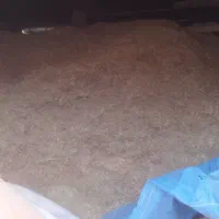 کاه پیش(برنج)